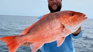 Red snapper season: Florida's east coast anglers need to know 2 new federal regulations
