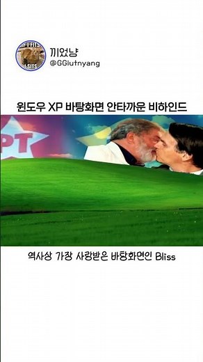 윈도우 XP 바탕화면 안타까운 비하인드