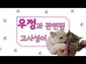 친구, 우정과 관련된 고사성어, 사자성어 (도덕1)