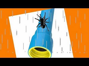 Itchy Bitchy Spider | Nursery Rhymes Club