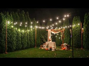 Best Solar Strings Lights - TDLOL Lights Review