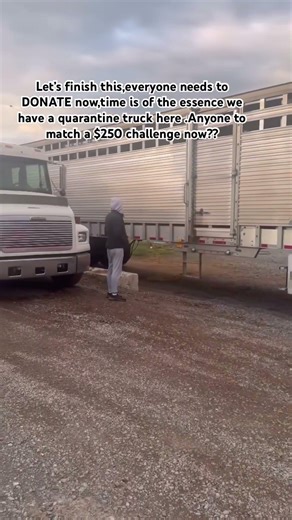 THE TRUCK IS HERE,we need our donors now more than ever,give a little you can to save lives#horse
