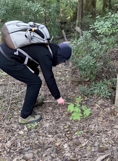 Seules les personnes au regard d'aigle peuvent repérer le serpent caché dans cette photo | Les Meilleures Caméras Cachées