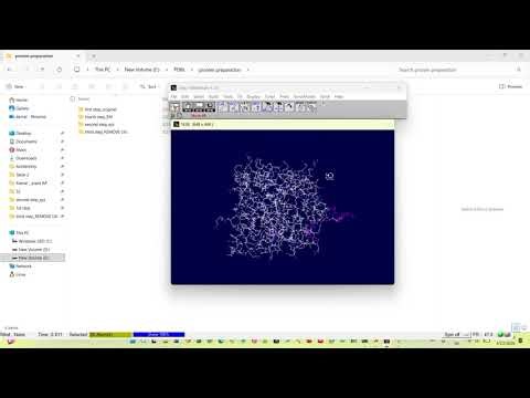 Energy Minimization of proteins (Swiss PDB viewer)