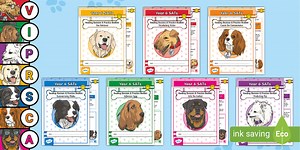 Year 6 Reading Revision & Practice Booklets Bumper Pack