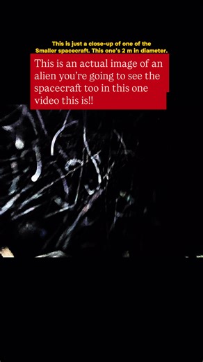 Brian Ladd on Instagram: "We are looking at my spacecraft app close it’s approximately 2 m in diameter. It is very very cold and it hovers it stays over the house at all times however I’m showing you examples in this guy as well. Again, our visitors are very small. Some of them. This is just a close-up of one of the Smaller spacecraft. This one’s 2 m in diameter. I’m showing you up close and in The clouds, the occupant are here too #ufo #actually UFO#alien spacecraft#aliens#alien BFF"