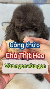 161K views · 1.5K reactions | Cách làm chả thịt heo bông cải cho cún miu trong 15ph #chamsocchomeo #yeuchomeo #review #xuhuongtiktok #senvaboss | Pet Kid Shop | Facebook