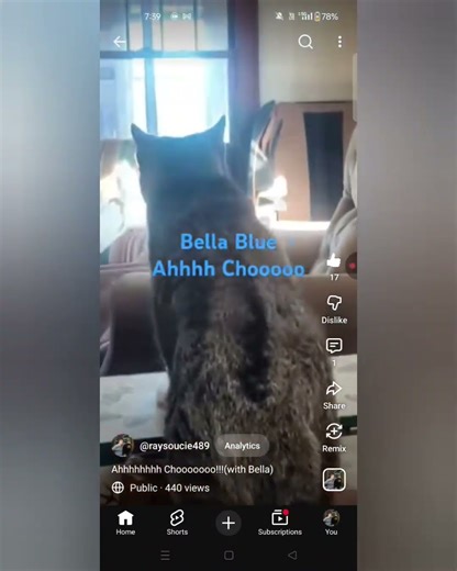 Taught my Cat how to Read !!