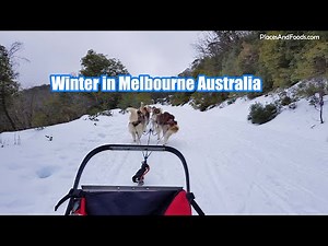 Winter in Melbourne Australia | Mount Buller Snow Mountain