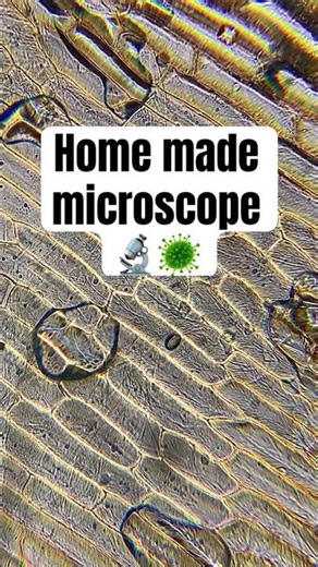 Home made microscope | I made microscope using DVD player lens #shorts