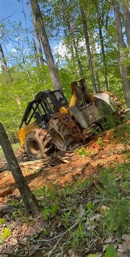 87K views · 614 reactions | When you have a skidder driver that’s a wimp and he thinks he’s gonna flip it on flat ground 藍#foryoupage #johndeere #loglife #640d #trump2020 | Sander Young | Facebook