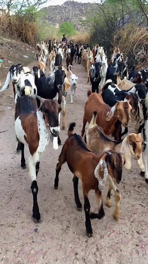 Karoonjhar Photography on TikTok