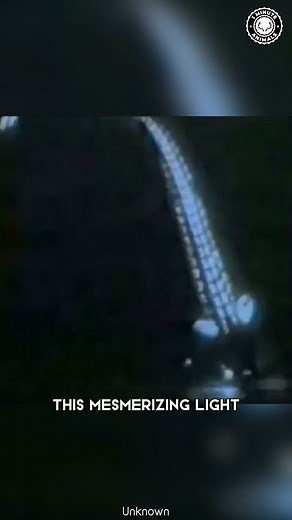 32K views · 1.4K reactions | Dragonfish  The SCARIEST Face in the Ocean! With see-through fangs and glowing eyes, this fish looks straight out of a nightmare. It hunts in the dark using bioluminescent lights to lure its prey. You won’t believe those teeth are real! #wildlife #nature #animalfacts #animalvideos | 1 Minute Animals | Facebook