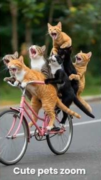 Funniest Pet Zoom Moments Ever🐱🐕#cats