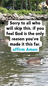 31 reactions · 49 comments | #JesusChrist #BibleTruths #ChristianMotivation #FaithLife #GodsPromises #InspirationalBibleVerses #GodsLoveIsReal #BibleVersesToLiveBy #FaithEveryday | The Bible and God | Facebook