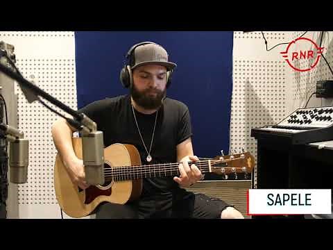 Taylor GS MINI Comparison! Black Limba / Sapele / Mahogany / Rosewood / KOA!