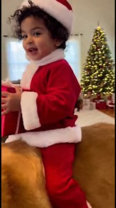 25K views · 270 reactions | Adorable Santa Rides a Reindeer Dog! Adorable Santa Rides a Reindeer Dog! Generated using Kling AI . . . (For entertainment purposes only. Consult professionals if guidance on activities is presented. No brand affiliation is implied if any are shown. If inspired by true events, creative adaptations may be included. Content may include public footage.) | Fabiosa Digest | Facebook