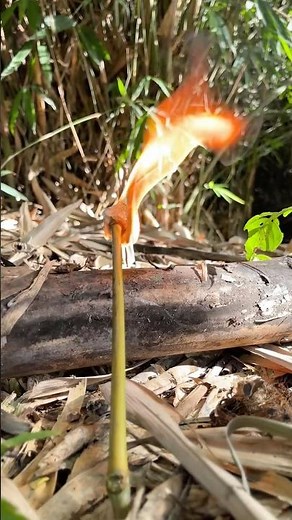 🔥survival skills:”In an Instant… Fire Ignites from This Crazy Idea!” #camping #outdoors