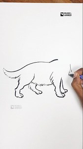 169K views · 1.6K reactions | Anyone Can Draw This Cute Dog  | Super Easy Step by Step | Dog Drawing #EasyDrawing #DogDrawing #HowToDrawDog #SimpleDrawing #DrawingForBeginners #KidsDrawing #CuteDog #ArtTutorial #Sketching #LearnDrawing | Rubel Ahmed | Facebook
