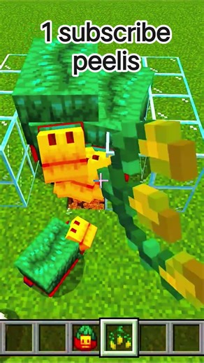 Sniffer Torchflower seeds kevpiche bhagati he