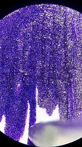 Exploring Intriguing Secrets: Pen Ink Under the Microscope