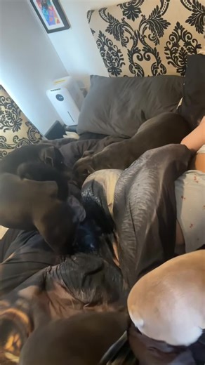 MANSBESTFRIENDFORLIFE (@mansbestfriendforlife)’s videos with Ooh Ahh (My Life Be Like) [feat. Tobymac] - Grits