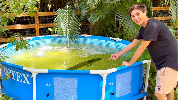 Turning My Backyard Into a Fish Paradise with a Massive Pool Pond!