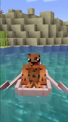 Steve’s Head… #minecraft