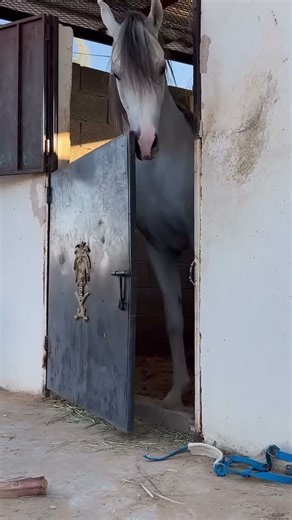 Top 10 gadgets that will change your life