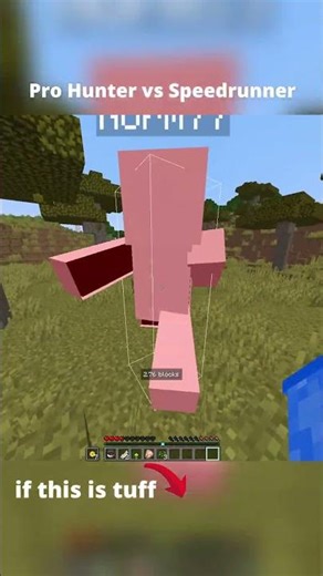 Minecraft Speedrunner vs Pro Hunter 😱😱✌️#minecraft #minecraftmanhunt #speedrun #clips