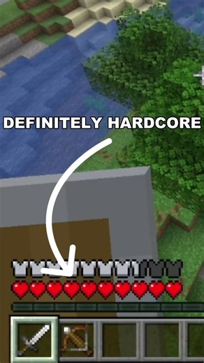 Minecraft hardcore but chunks have random effects