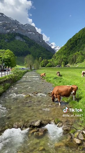Exploring the Stunning Appenzell Alps in Switzerland