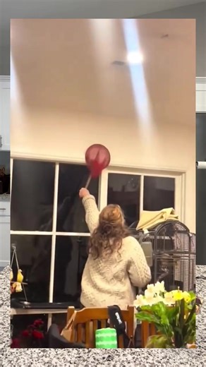 mice sneaking around your house? 🐭 This mouse trap is designed to actually work the first time — no more glue mess, no more wasted money on traps that fail. Simple, effective, and perfect for keeping your home pest-free. #MouseTrap #RodentControl #PestControlSolutions #CatchMice #HomeEssentials