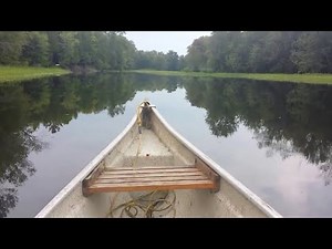 8 Hours Relaxing Canoeing Sounds ~ Paddling w/o Music