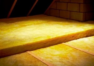 Professional Loft Insulation Services - Evolve