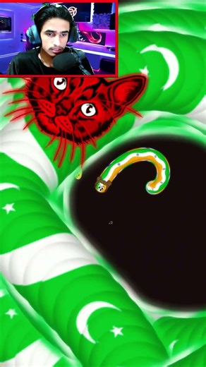 Tiny India Vs Biggest Red Cat in Wormzilla.io | Ali Gaming | #shorts