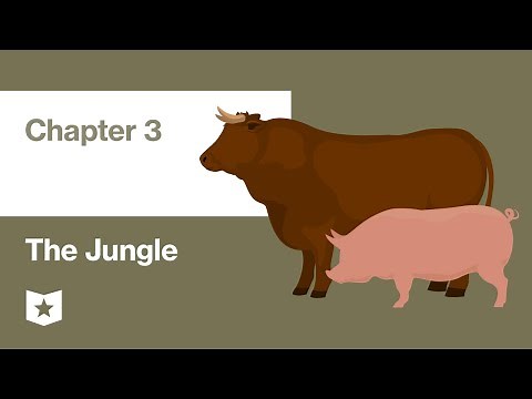 The Jungle by Upton Sinclair | Chapter 3