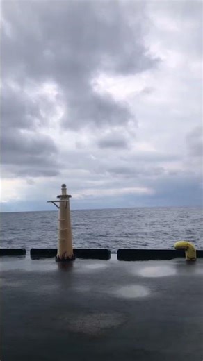 #あおがしま #青ヶ島 #青ヶ島村 #つり#ねこのいる生活 #ねこ