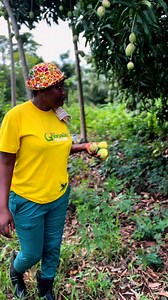 Can you guess how much an acre of farmland is costing 😳 | The Ghanaian Farmer