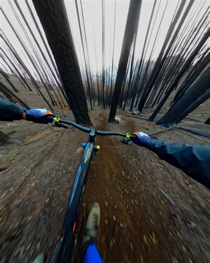 209K views · 5.8K reactions | Full speed against a scorched Earth  GoPro Subscriber Alex Chapellier + his #GoProMAX took on this other-worldly trail in British Columbia + scored himself a $1,000 GoPro Award by submitting the clip to GoPro.com/Awards. | GoPro | Facebook