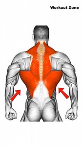 170K views · 3K reactions | How To Get Bigger Back  | Workout Zone | Facebook