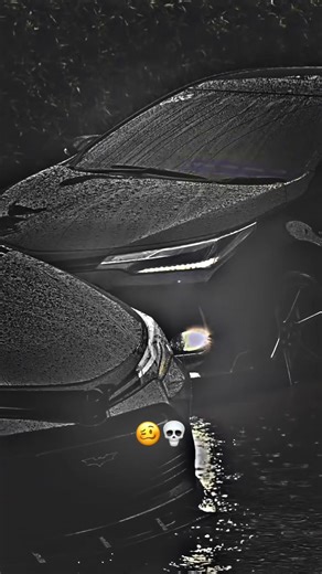 Passionate Car Enthusiast Content