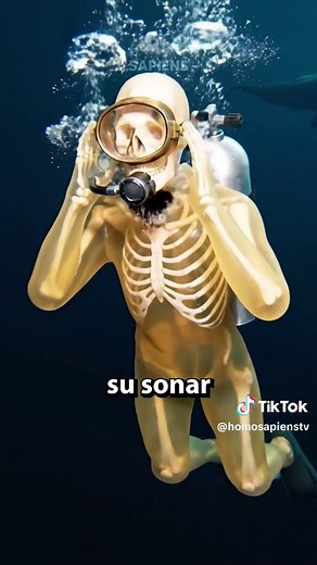 ¿Con qué te encontrarías bajando a la Fosa de las Marianas? 😳 #homosapienstv #sabiasque