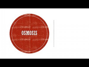 Osmosis - Anatomy & Physiology