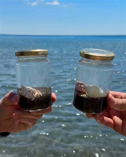 Beach Memory Jars 🌊 🐚 | Magic Hands Creations