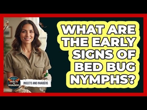 What Are The Early Signs Of Bed Bug Nymphs?