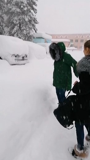 Winter Fun: Snow Sledding Adventure for Kids