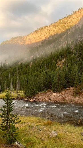 Carbonless | Building Science Education on Instagram: "This is a super energy-efficient house. The heating and cooling equipment is simple: a small mini-split and a fresh-air system (HRV/ERV). The mini-split heats, cools, and pulls moisture out of the air. The fresh-air system quietly removes stale, moist air and brings in clean air. Because the house is built right, conditioned air can move almost 50 feet to the bathroom — with no ductwork in between. That doesn’t work in most houses. It works