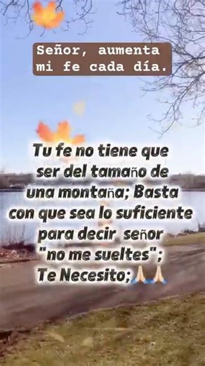 Señor, aumenta mi fe cada día.#parati #palabradios #dios #fe #amor#shorts #video #viral #love #paz