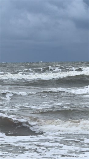 Aivis Magnets on Reels